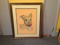 /album/galerie-photos/photo-750-jpg/